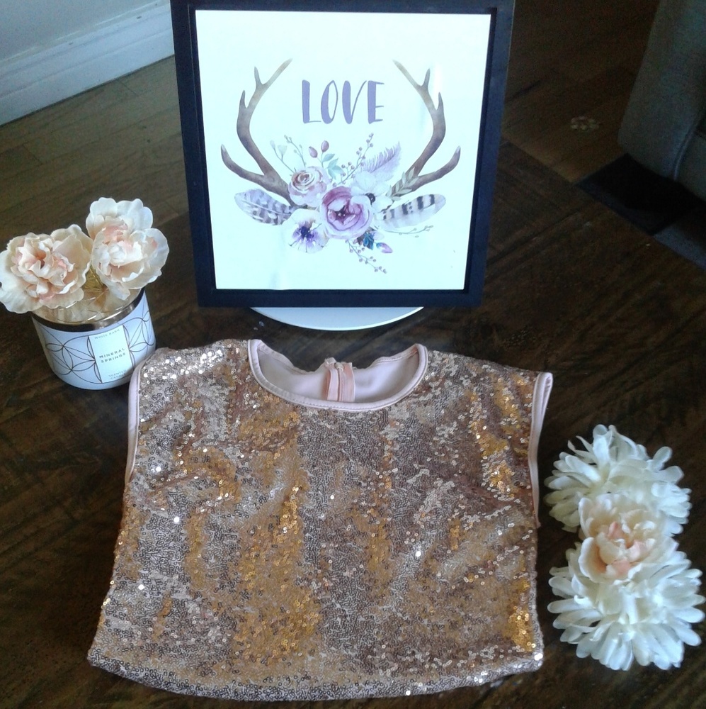 Baby Pink Sequin Body suit